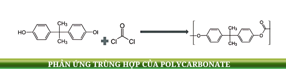 chất liệu nhựa, tấm polycarbonate, green roofing, nhựa dẻo, tấm polycarbonate, polymer, vật liệu xanh, nhựa kỹ thuật