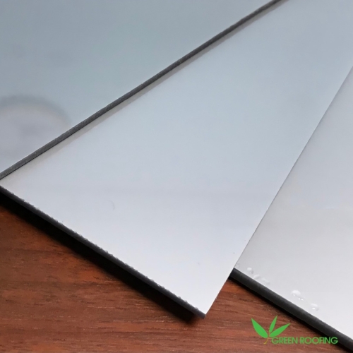 TẤM POLYCARBONATE HEATCUT CÓ GÌ KHÁC BIỆT? AI NÊN SỬ DỤNG?