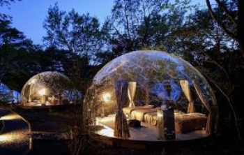 HOMESTAY - TRẢI NGHIỆM NGHỈ DƯỠNG ĐỘC ĐÁO CHO Ý TƯỞNG CÁC NHÀ ĐẦU TƯ